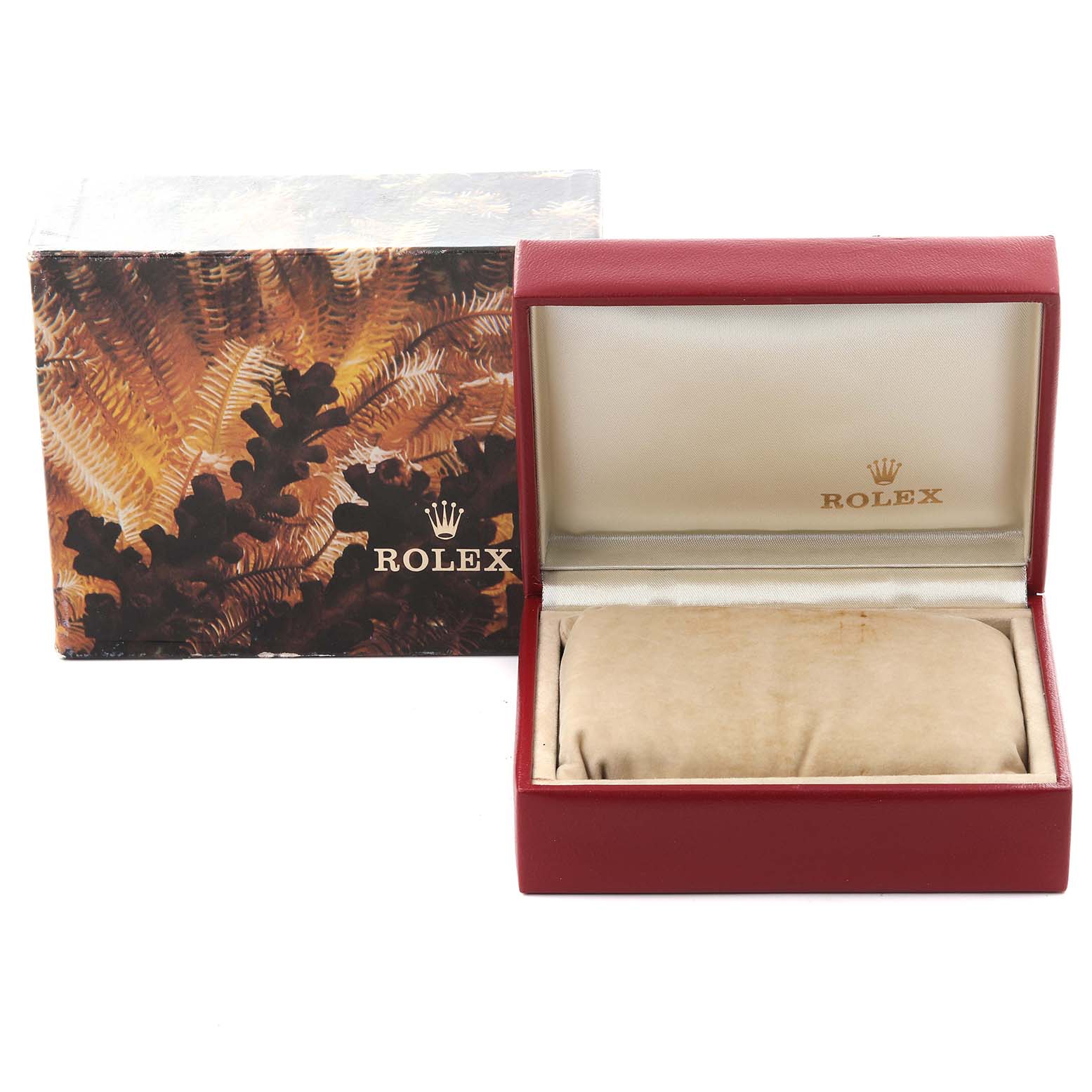 The image shows a Rolex Date 69173 Women's Steel and Gold (two tone) White Dial 69173 Women's Steel and Gold (two tone) White Dial model box and cushion from a frontal angle, with the outer packaging and open display case.