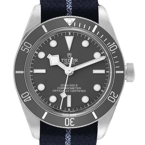 The image shows a front view of the Tudor Heritage Black Bay 79010SG Men's Stainless Steel Grey Dial 79010SG Men's Stainless Steel Grey Dial watch, displaying the dial, bezel, and crown.