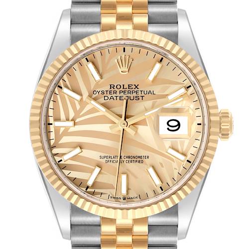 The Rolex Datejust 126233 Men's Steel and Gold (two tone) Champagne Dial 126233 Men's Steel and Gold (two tone) Champagne Dial watch is shown from the front, highlighting the dial, bezel, and part of the bracelet.