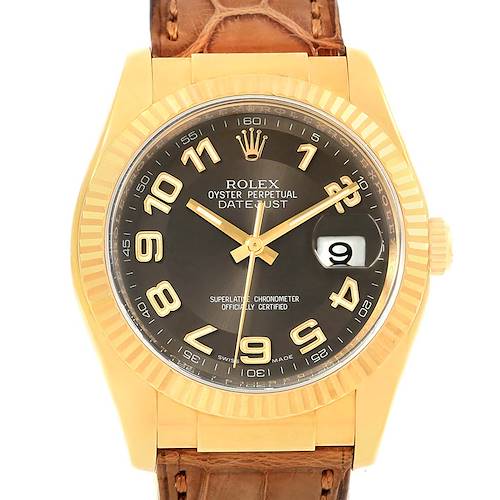 This image shows a frontal view of the Rolex President 116138 Men's Yellow Gold Brown Dial 116138 Men's Yellow Gold Brown Dial model watch with a black dial and an alligator leather strap.