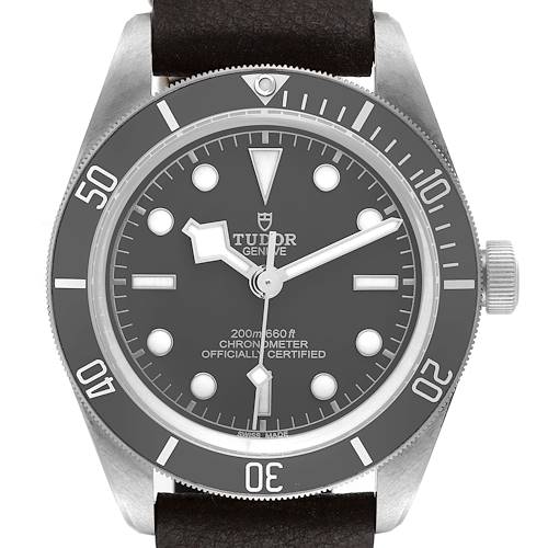 The image shows the face and bezel of the Tudor Heritage Black Bay 79010SG Men's Stainless Steel Grey Dial 79010SG Men's Stainless Steel Grey Dial watch, viewed from the front.