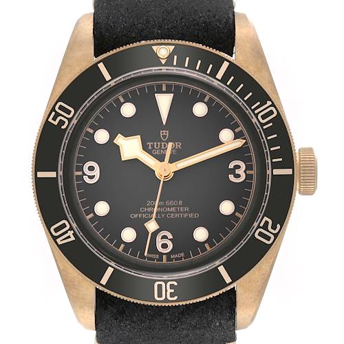 This image shows a front view of the Tudor Heritage Black Bay 79250B Men's Bronze Grey Dial 79250B Men's Bronze Grey Dial watch, highlighting the dial, bezel, and crown.