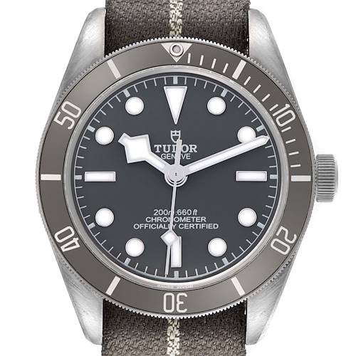 The Tudor Heritage Black Bay 79010 Men's Stainless Steel Grey Dial 79010 Men's Stainless Steel Grey Dial is shown front-on, highlighting the dial, bezel, crown, and fabric strap.