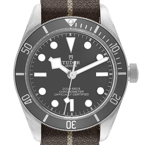 The image shows a front view of the Tudor Heritage Black Bay M79010SG-0002 Men's Stainless Steel Grey Dial M79010SG-0002 Men's Stainless Steel Grey Dial watch, highlighting its face, bezel, and fabric strap.