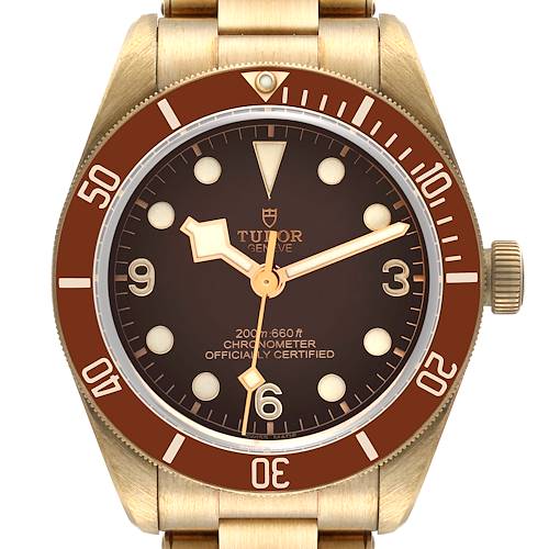The Tudor Heritage Black Bay 79012 Men's Bronze Brown Dial 79012 Men's Bronze Brown Dial watch is shown from a front angle, displaying its dial, bezel, and crown.