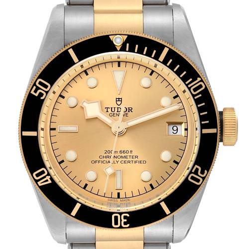 The watch is a Tudor Heritage Black Bay 79733 Men's Steel and Gold (two tone) Champagne Dial 79733 Men's Steel and Gold (two tone) Champagne Dial model shown from the front, displaying its face, bezel, and part of the bracelet.